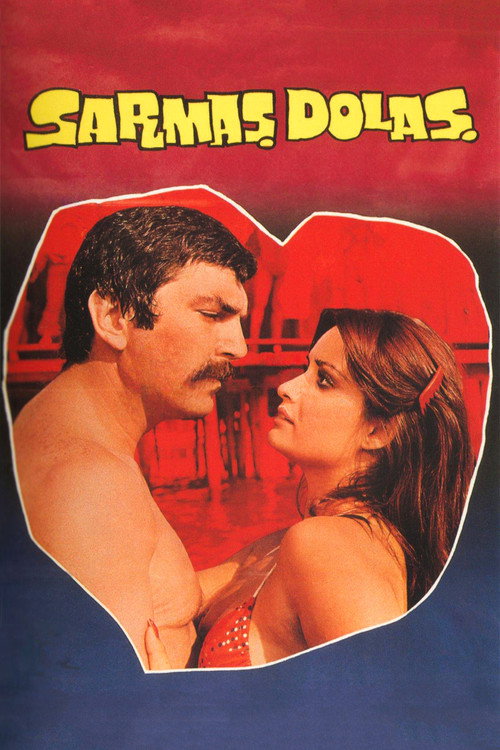 Movie poster for Sarmaş Dolaş (1977)