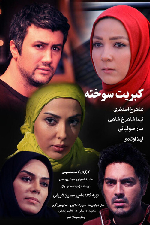 Movie poster for Burnt Matches (2016)