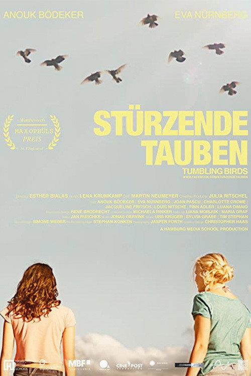 Movie poster for Tumbling Birds (2013)