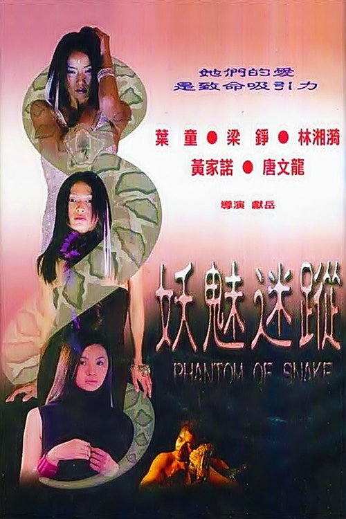 Movie poster for Phantom of Snake (2000)
