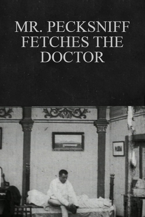 Movie poster for Mr. Pecksniff Fetches the Doctor (1904)