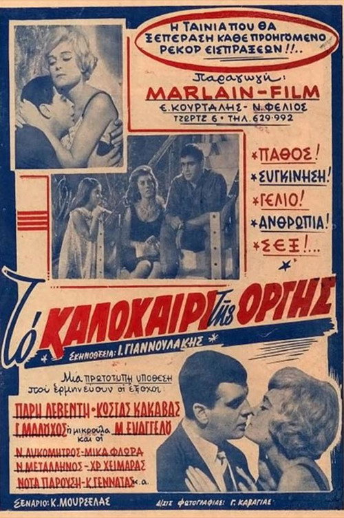 Movie poster for The Summer of Rage (1962)