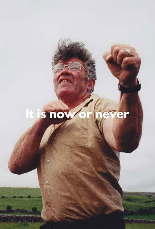 Movie poster for It's Now or Never (1996)