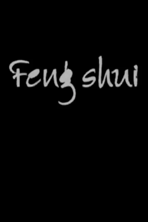 Movie poster for Feng Shui (2005)