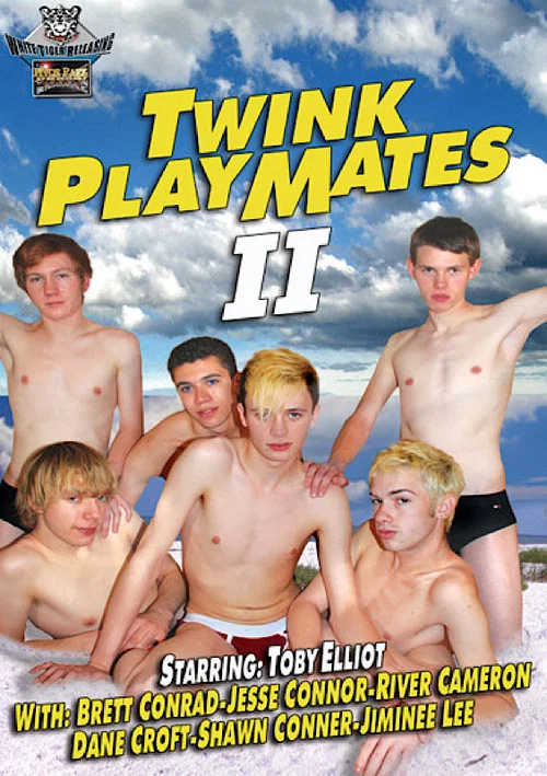 Movie poster for Twink Playmates 2 (2007)