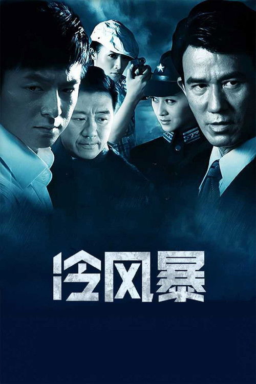 冷风暴 poster