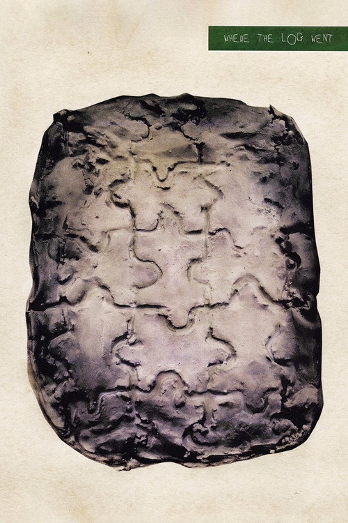 Movie poster for Where the Log Went (2024)