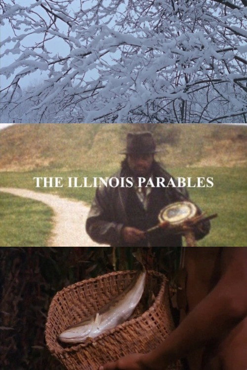 Movie poster for The Illinois Parables (2016)
