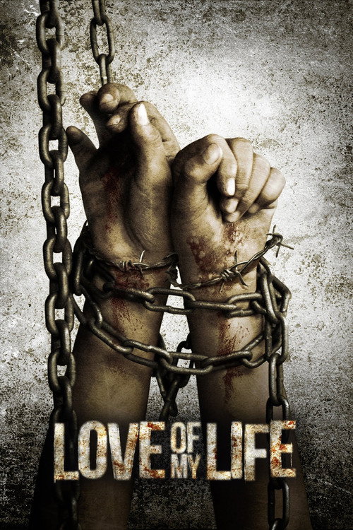 Movie poster for Love of My Life (2013)