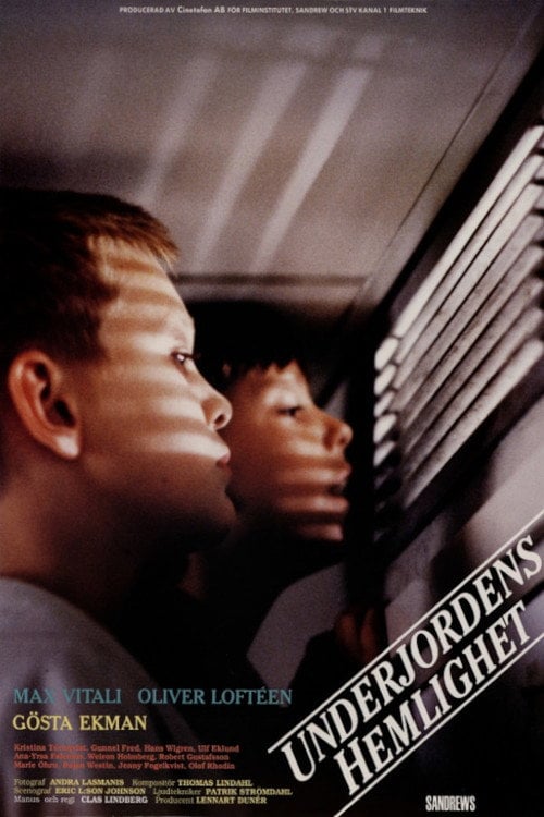 Movie poster for Subterranian Secrets (1991)