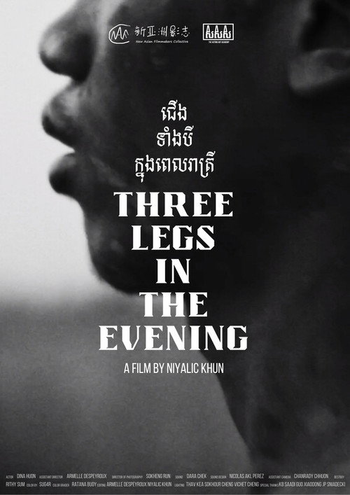 Movie poster for Three Legs in the Evening (2024)