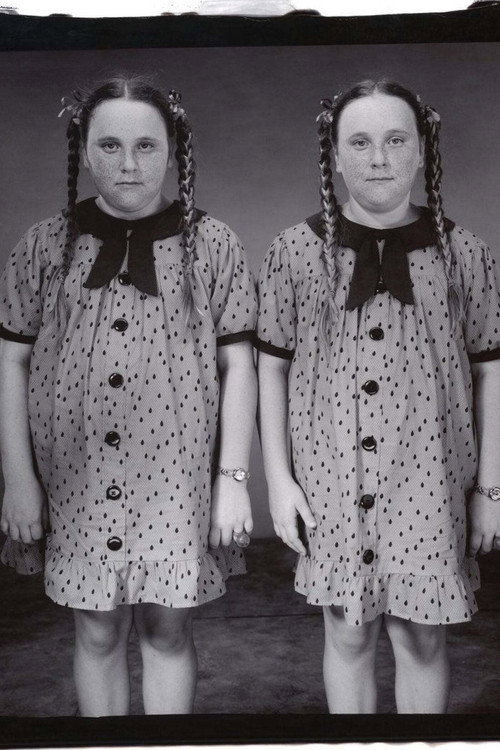 Movie poster for Twins (2002)
