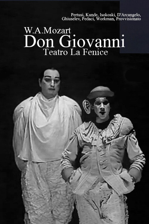 Movie poster for Don Giovanni. Teatro La Fenice (1996)