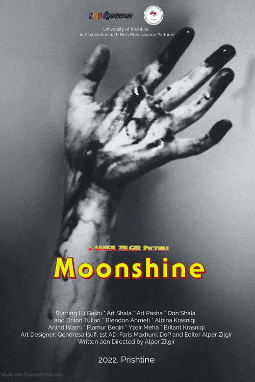 Movie poster for Moonshine (2022)
