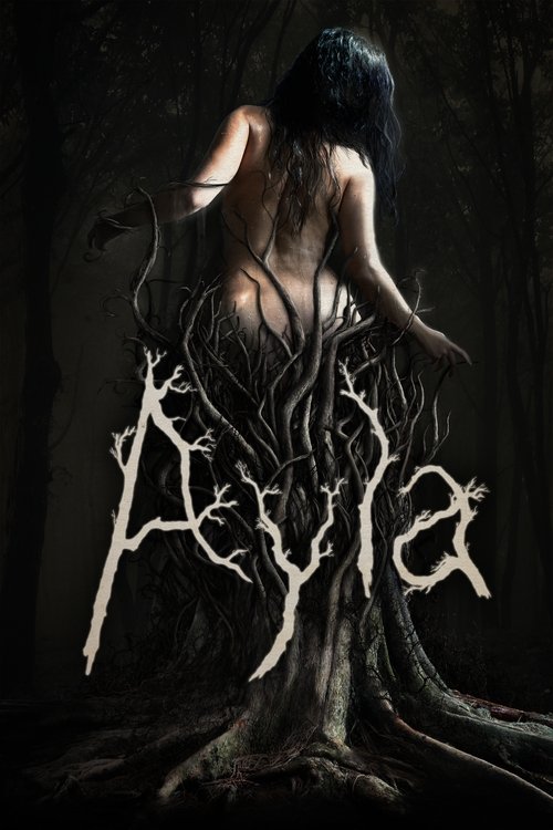 Movie poster for Ayla (2017)