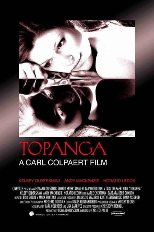 Movie poster for The Affair (2004)