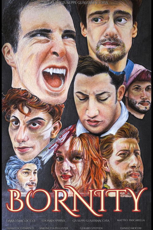 Bornity poster