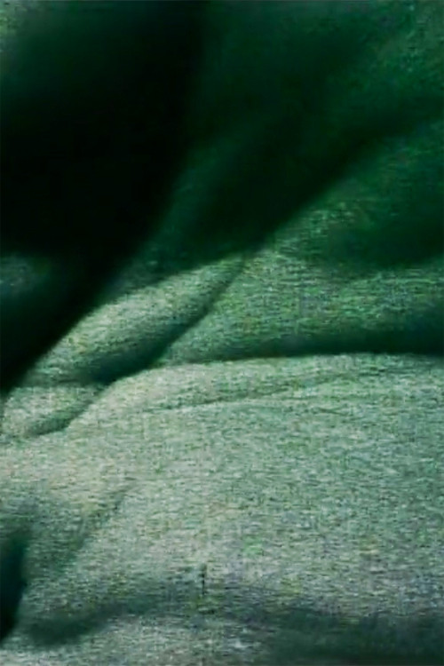 Movie poster for Mouvement in the Inside of My Left Hand (1978)