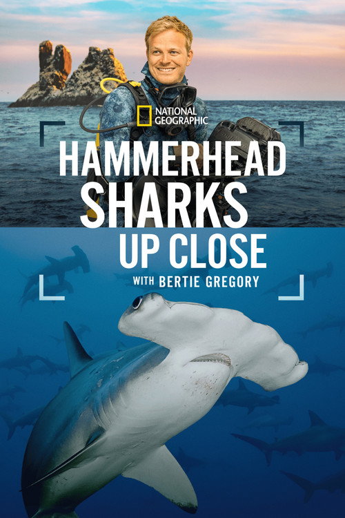 Movie poster for Hammerhead Sharks Up Close with Bertie Gregory (2026)