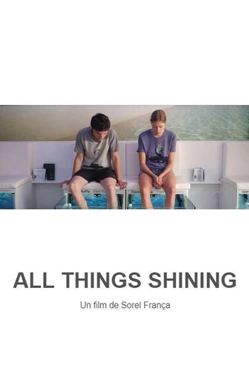 Movie poster for All Things Shining (2015)