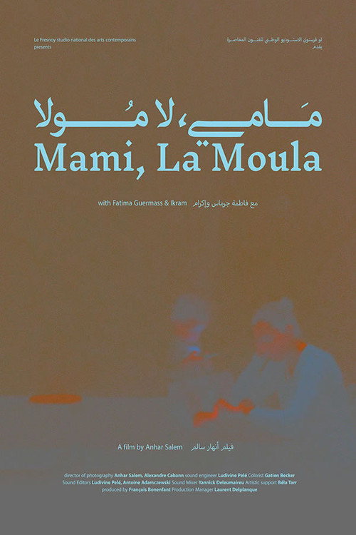 Movie poster for Mami, La Moula (2020)
