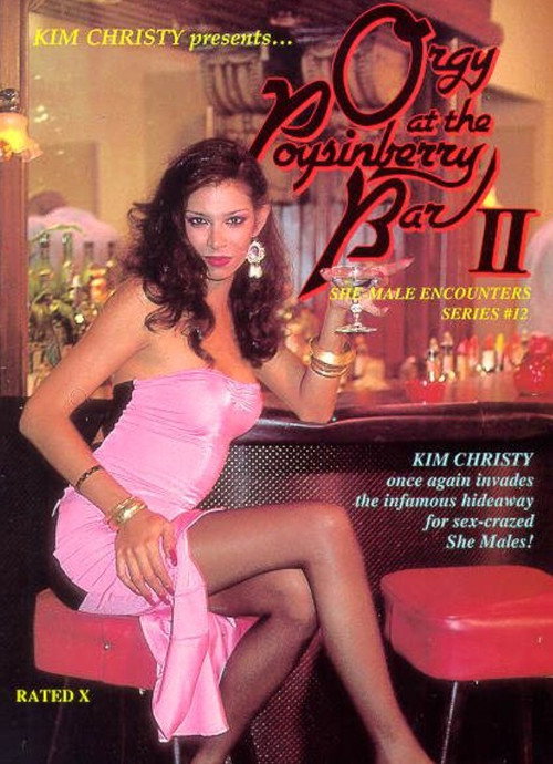 Movie poster for She-Male Encounters 12: Orgy at the Poysinberry Bar 2 (1986)