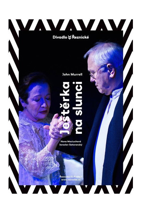 Movie poster for Ještěrka na slunci (2021)