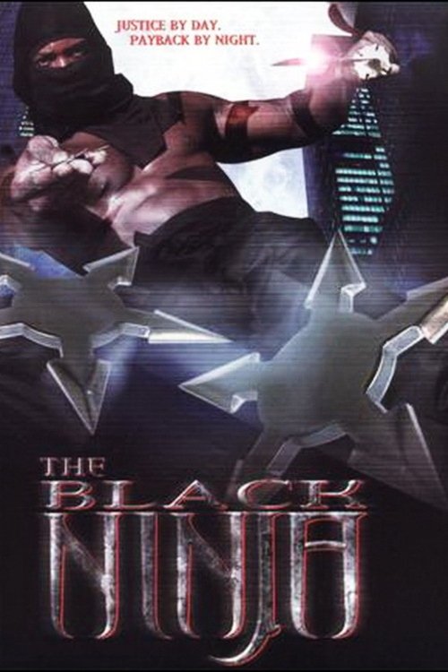 Movie poster for The Black Ninja (2003)