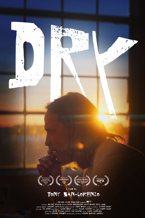 Movie poster for Dry (2024)
