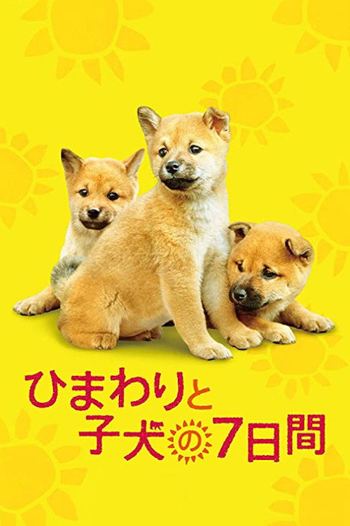 Movie poster for 7 Days of Himawari & Her Puppies (2013)