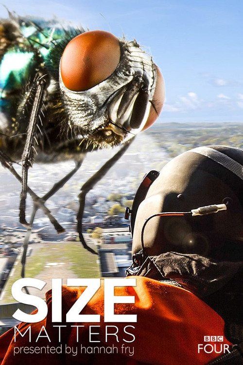 Movie poster for Size Matters (2018)