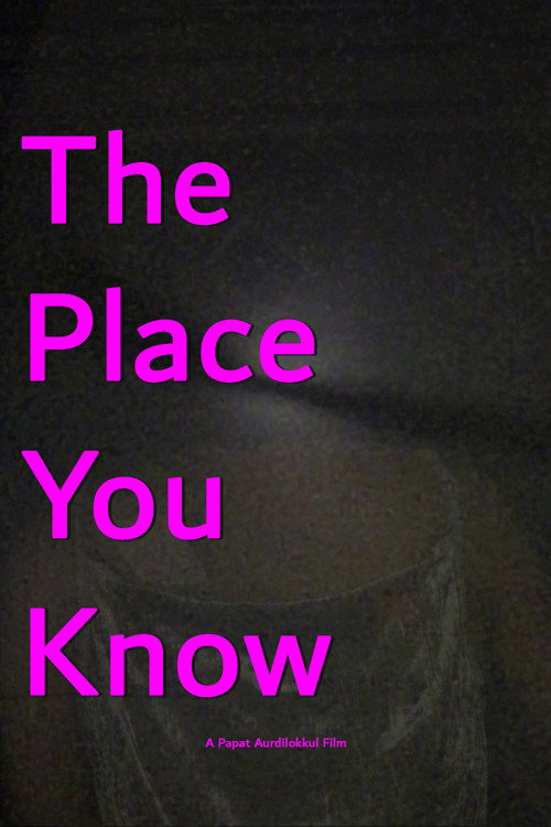 Movie poster for The Place You Know