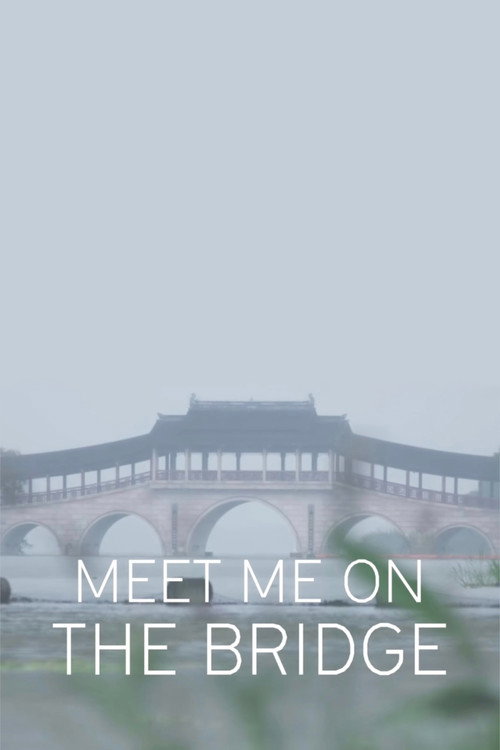 Movie poster for Meet Me On The Bridge (2017)