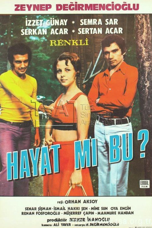 Movie poster for Hayat Mı Bu (1973)