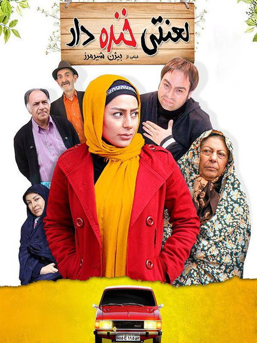 Movie poster for damn funny