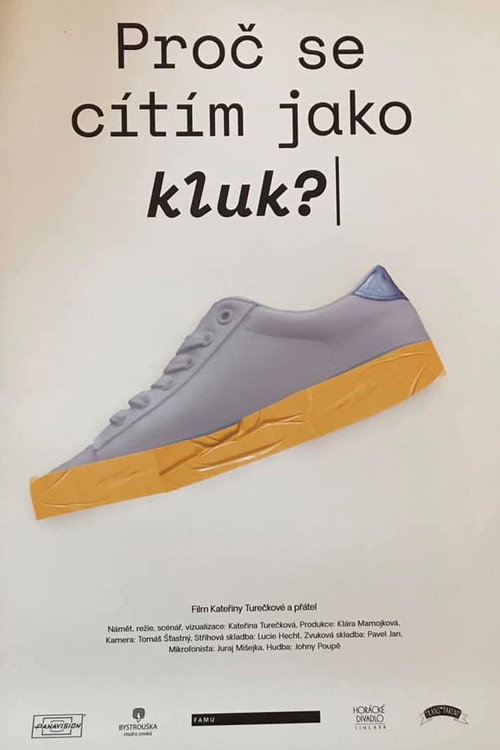 Movie poster for Why Do I Feel like a Boy? (2019)