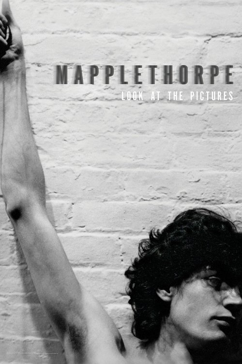 Movie poster for Mapplethorpe: Look at the Pictures (2016)