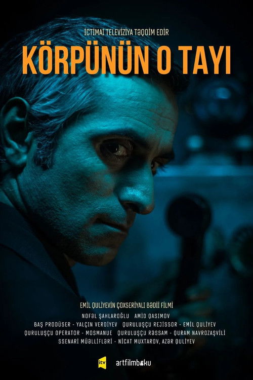 The Other Side of The Bridge poster