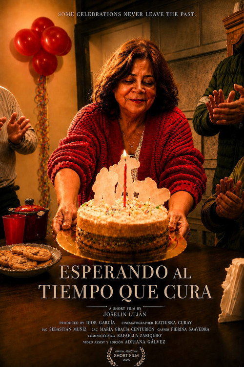 Movie poster for Esperando al tiempo que cura