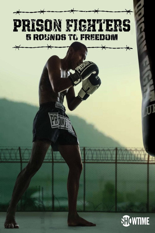 Movie poster for Prison Fighters: Five Rounds to Freedom (2017)