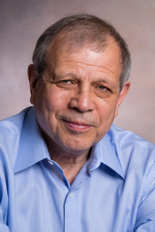 Photo of Yefim Somin, Acting