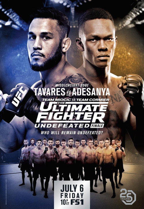 Movie poster for The Ultimate Fighter 27 Finale (2018)