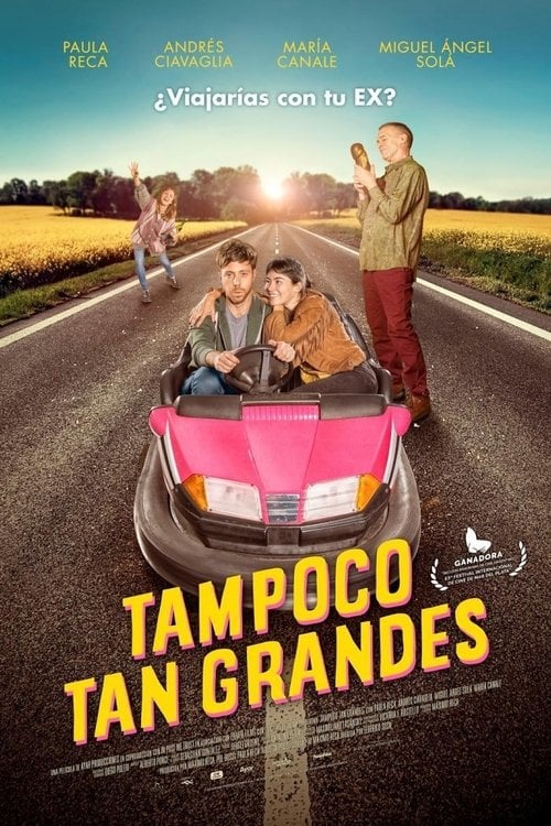 Movie poster for Not Quite Adults (2018)