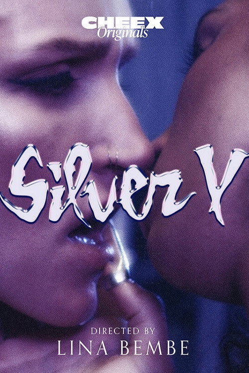 Movie poster for Silver V (2024)