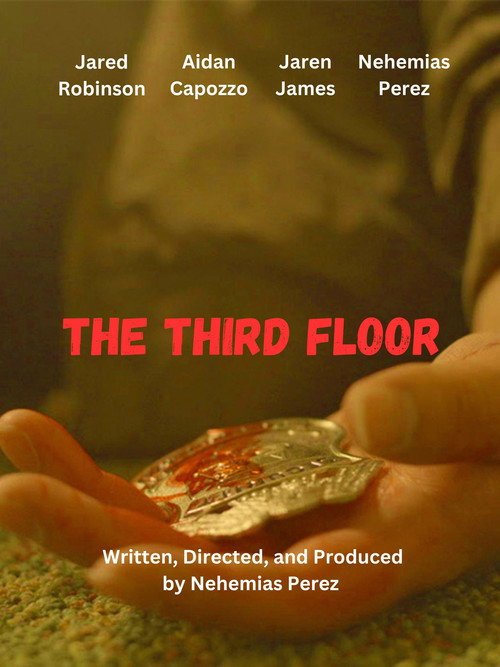 Movie poster for The Third Floor