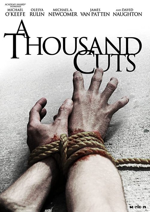 Movie poster for A Thousand Cuts (2012)