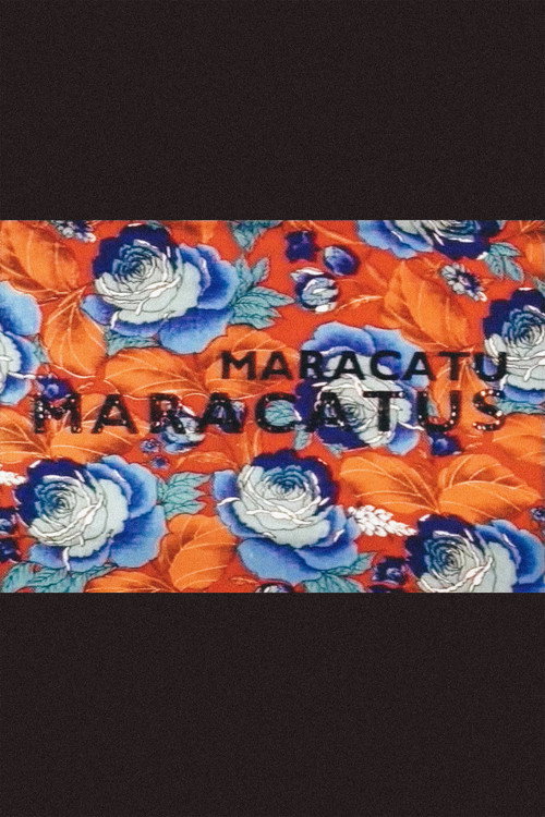 Movie poster for Maracatu, Maracatus (1995)