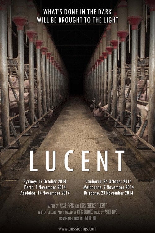 Movie poster for Lucent (2014)