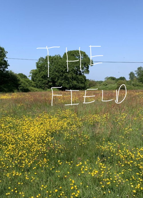 Movie poster for The Field (2013)