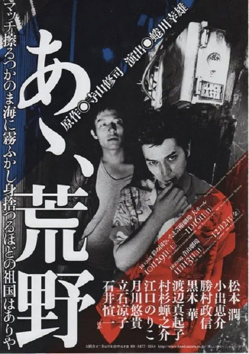 Movie poster for あゝ、荒野 (2011)